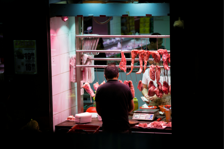 animal welfare standards with trade