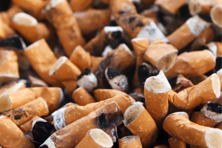 Smokefree Politicians Transparency