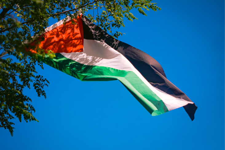 Anti-Palestinian Misinformation
