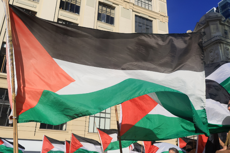 PSNA Palestine Recognition