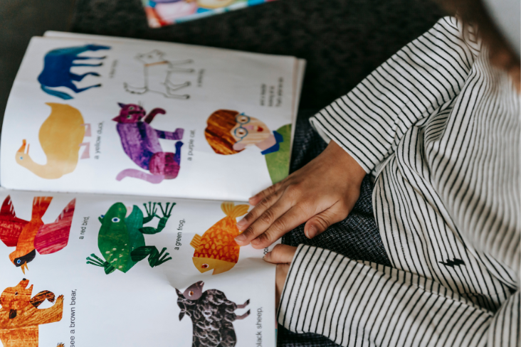 Māori in children's books