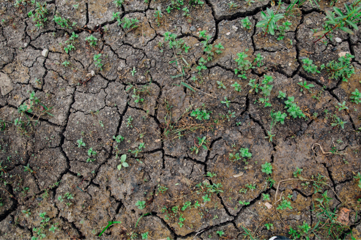 The physical and psychological health impacts of the climate crisis 