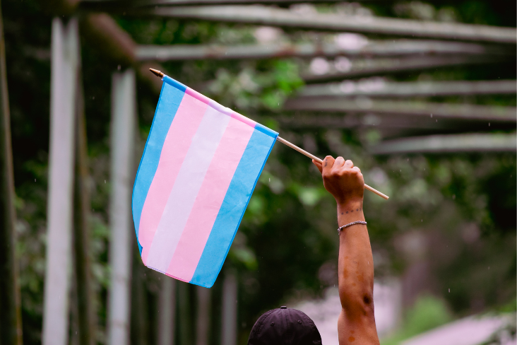 Transgender guidelines removed High Court challenge