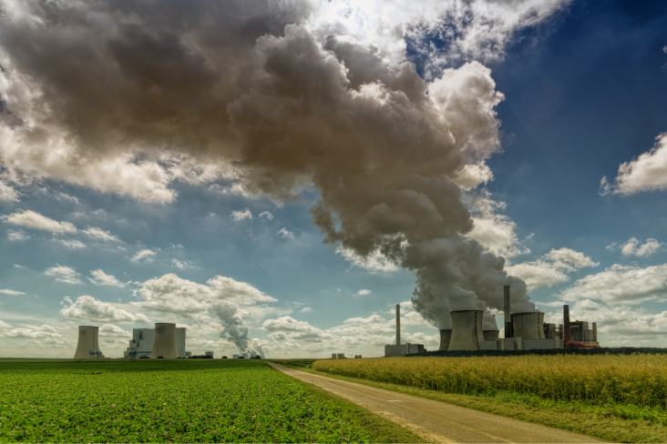 COP30 fossil fuel 